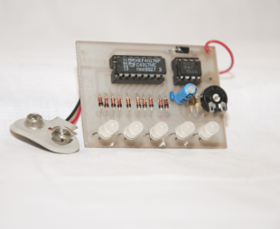 EFK 8006 Bi-Coloured Running Led's